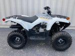 2024 Yamaha Grizzly 90 on Sale