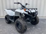 2024 Yamaha Grizzly 90 on Sale