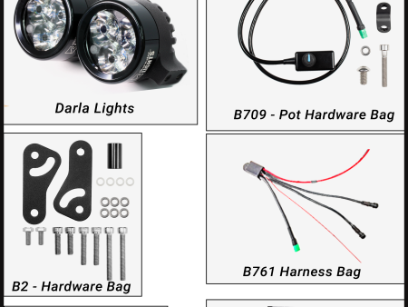 Darla (Triumph Tiger 955i) For Discount