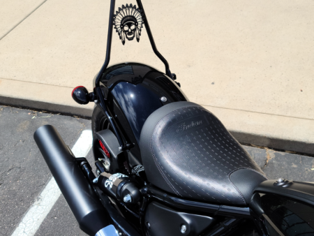 22+ Indian Chief Classic Sissy Bar For Sale