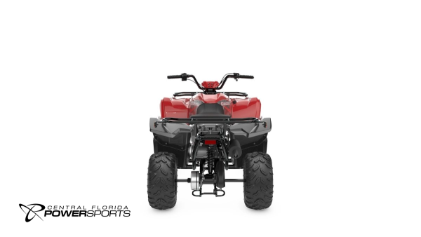 2025 Yamaha Grizzly 110 Youth Cheap