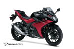 2024 Suzuki GSX250R ABS Online Hot Sale